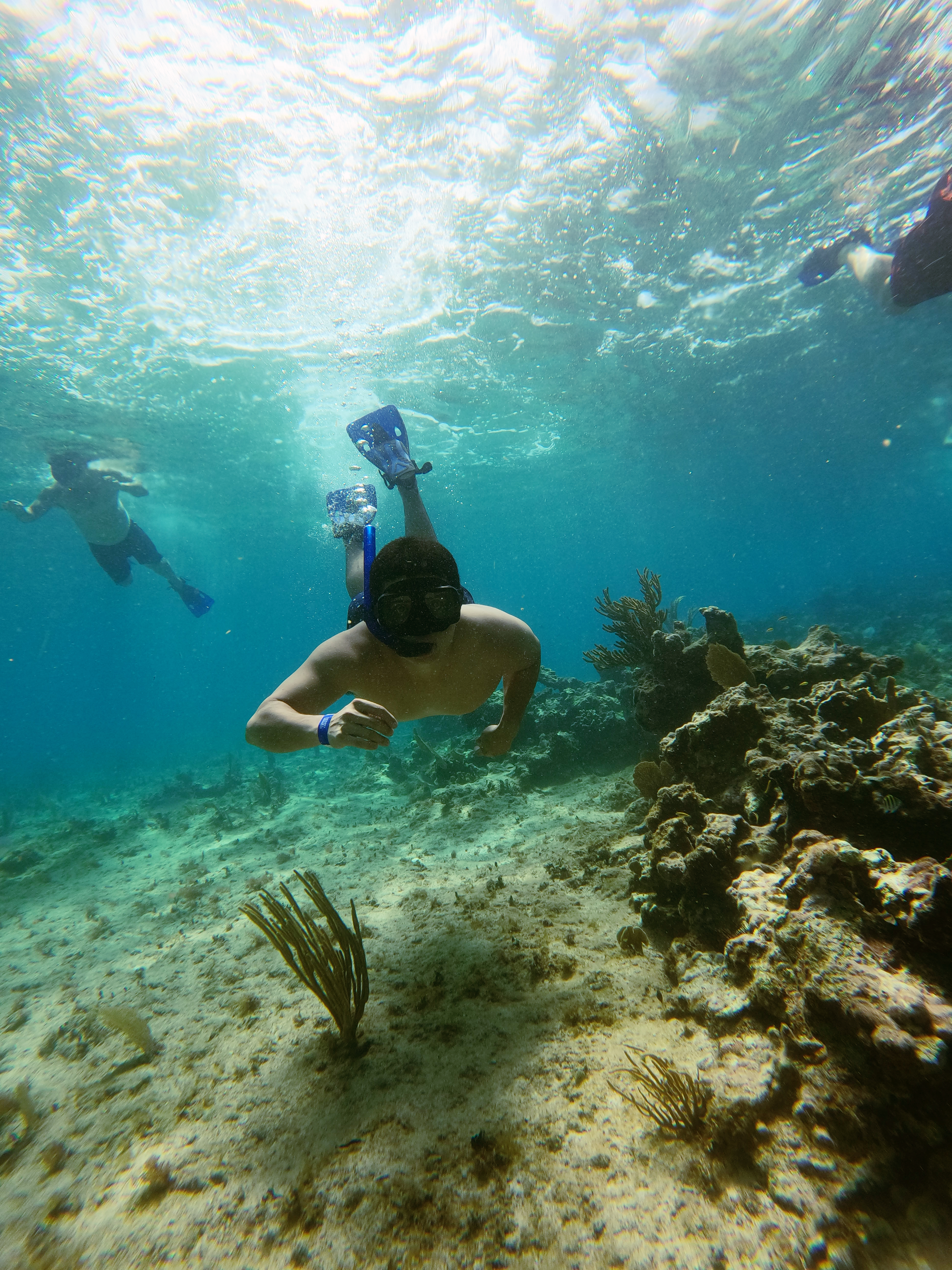 snorkeling